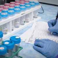 A National Eye Institute laboratory scientist documents research findings.