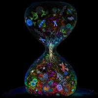 Illustration of an hourglass with different types of cells passing through.