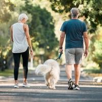 Senior man and woman walking a dog outside in a park, exercising.