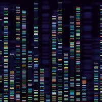 Genomic analysis visualization