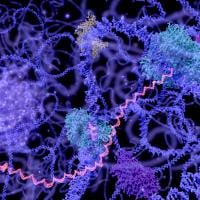 Multi-colored illustration of DNA in the nucleus of a cell.