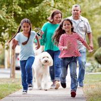 A family walking their dog on a neighborhood sidewalk.