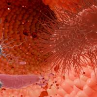 Microbes, such as bacteria, fungi, viruses, and their genes, that live in the human digestive system may influence allergies to certain foods.