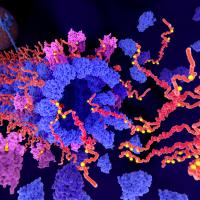 Illustration of tau protein phosphorylation.
