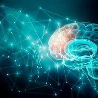 Human brain activity in the frontal lobe illustrated with plexus lines. 