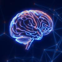An illustration of a glowing brain with interconnected lines on a dark background.