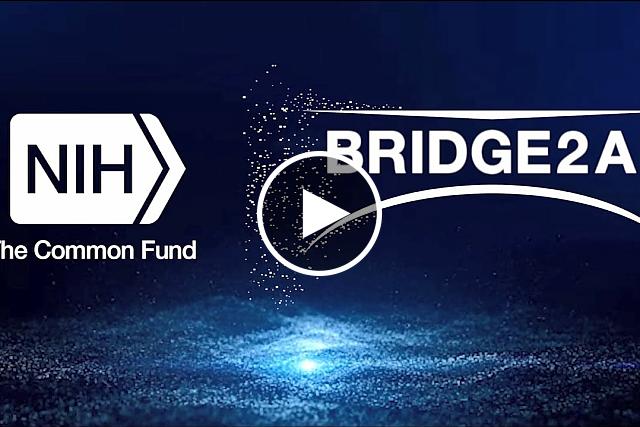 NIH Common Fund’s Bridge to Artificial Intelligence Program (Bridge2AI)