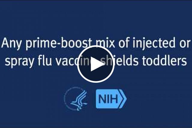 Research funded by NIH shows protection for children younger than 3 years is the same regardless of whether two doses of flu vaccine are injected by needle, inhaled through a nasal spray or provided through one dose of each in any order.