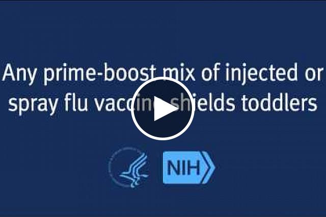 Research funded by NIH shows protection for children younger than 3 years is the same regardless of whether two doses of flu vaccine are injected by needle, inhaled through a nasal spray or provided through one dose of each in any order.