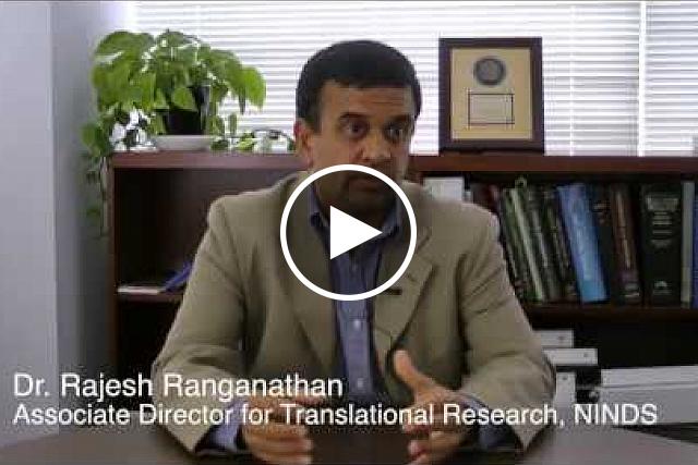 Watch Dr. Rajesh Ranganathan, Associate Director for Translational Research at NINDS, explain the NIH Blueprint and how the Blueprint Neurotherapeutics Network works.