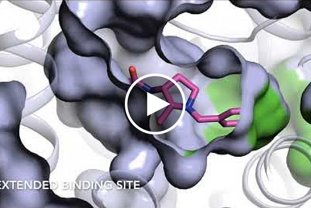 D4 dopamine receptor drug discovery.