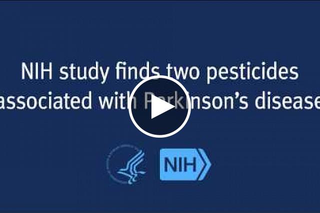 New research shows a link between use of two common pesticides, rotenone and paraquat, and Parkinson's disease (PD). The study was a collaborative effort conducted by researchers at the National Institute of Environmental Health Sciences (NIEHS), which is part of the National Institutes of Health (NIH), and the Parkinson’s Institute and Clinical Center in California.