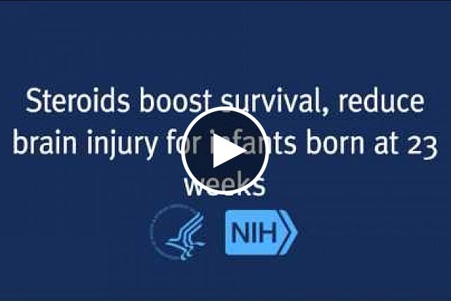 Prenatal steroids—given to pregnant women at risk for giving birth prematurely—appear to improve survival and limit brain injury among infants born as early at the 23rd week of pregnancy.