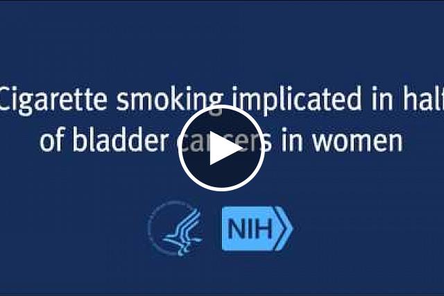 This study, using more recent data, shows that half of bladder cancer cases in women are caused by smoking. This puts their risk on par with men. 