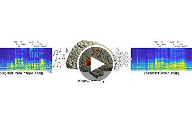 Left, an auditory spectrogram of the original song, with the words “all in all it was just a brick in the wall” marked along the ten-second timeline. At center is a brain illustration with yellow and red dots highlighting parts of the brain that showed neural activity while listening. Right, an auditory spectrogram and word markings of the reconstructed song showing similar but more diffuse audio characteristics