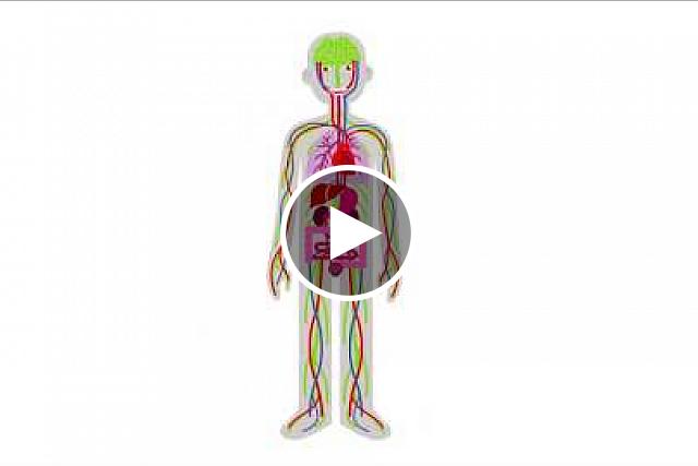 Catherine Cowie, Ph.D., editor of “Diabetes in America” and senior advisor for the NIDDK Diabetes Epidemiology Program, describes how diabetes affects the body from head to toe – including in ways that may surprise people.
