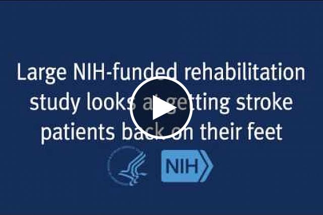 New research compares physical therapy options for stroke survivors. Stroke patients who had intense physical therapy at home improved their ability to walk just as much as those in a training program with a treadmill device. The study also shows that stroke patients can continue to improve up to one year after stroke, offering new hope to patients and their families.