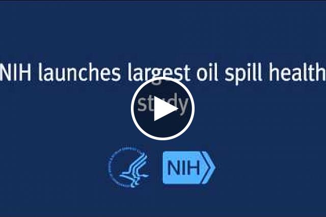 A new study that will look at possible health effects of the Gulf of Mexico's Deepwater Horizon oil spill on 55,000 cleanup workers and volunteers has begun in towns across Louisiana, Mississippi, Alabama, and Florida. The study is the largest health study of its kind ever conducted among cleanup workers and volunteers, and is one component of a comprehensive federal response to the Deepwater Horizons oil spill.