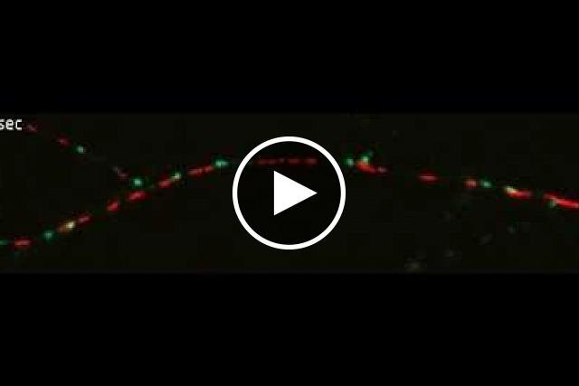 Video: Nerve Cell Power Plant Dancing