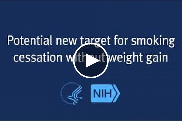 A new study published in Science magazine identifies a brain pathway that could be a target of new treatments for smoking and weight control.