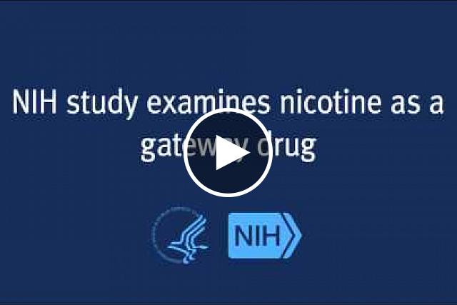 NIH-funded research in mice shows that nicotine primes the brain to enhance cocaine’s effects. This study identifies a biological mechanism, supporting epidemiological evidence that nicotine is a gateway drug.